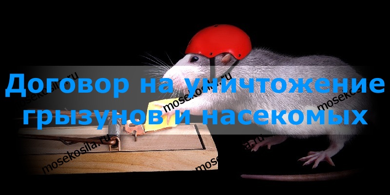 2. Договор на уничтожение грызунов и насекомых (договор на проведение дезинсекционных и дератизационных работ)