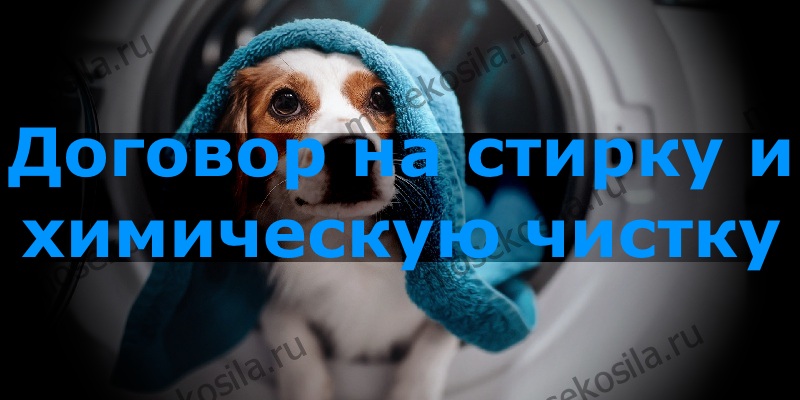 5. Договор на комплексное обслуживание по стирке и химической чистке.